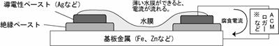 水膜が形成されたセンサの画像